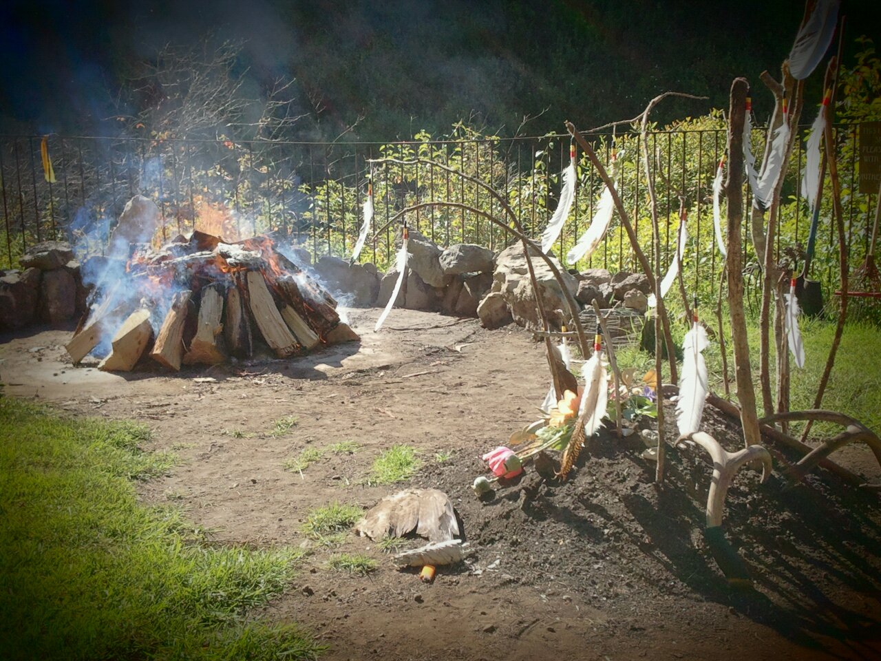 A fire pit with sticks and wood in the background.