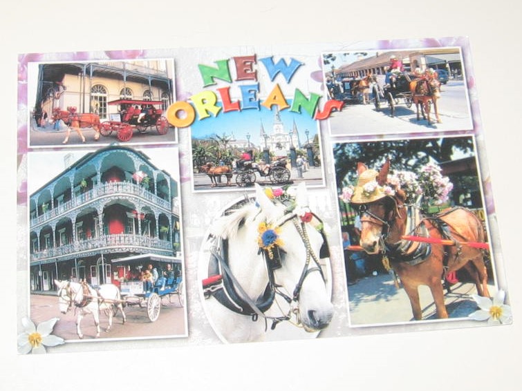 A bunch of pictures that are on the wall