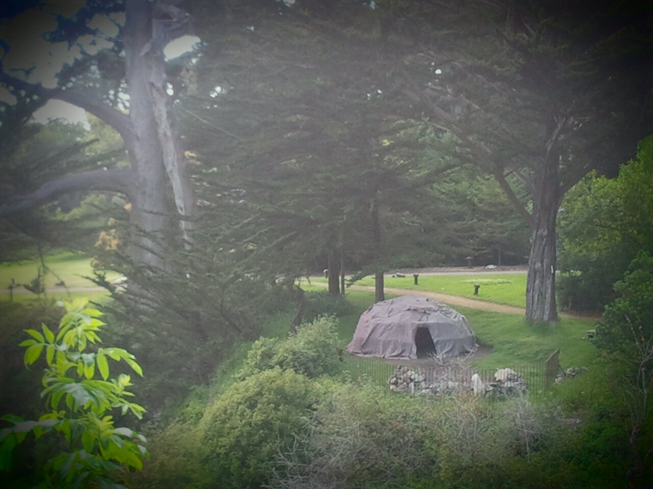 A tent in the middle of a field with trees