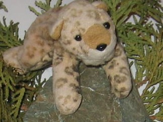 A stuffed animal is sitting on the rock.