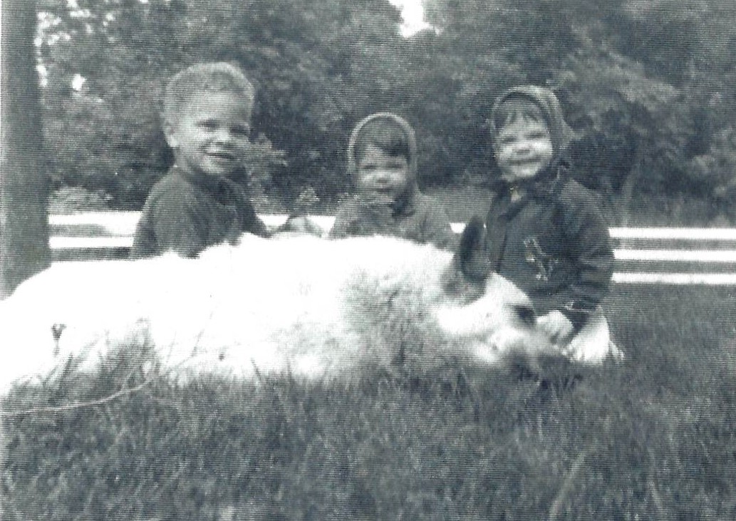 Three children sitting in the grass with a dog.