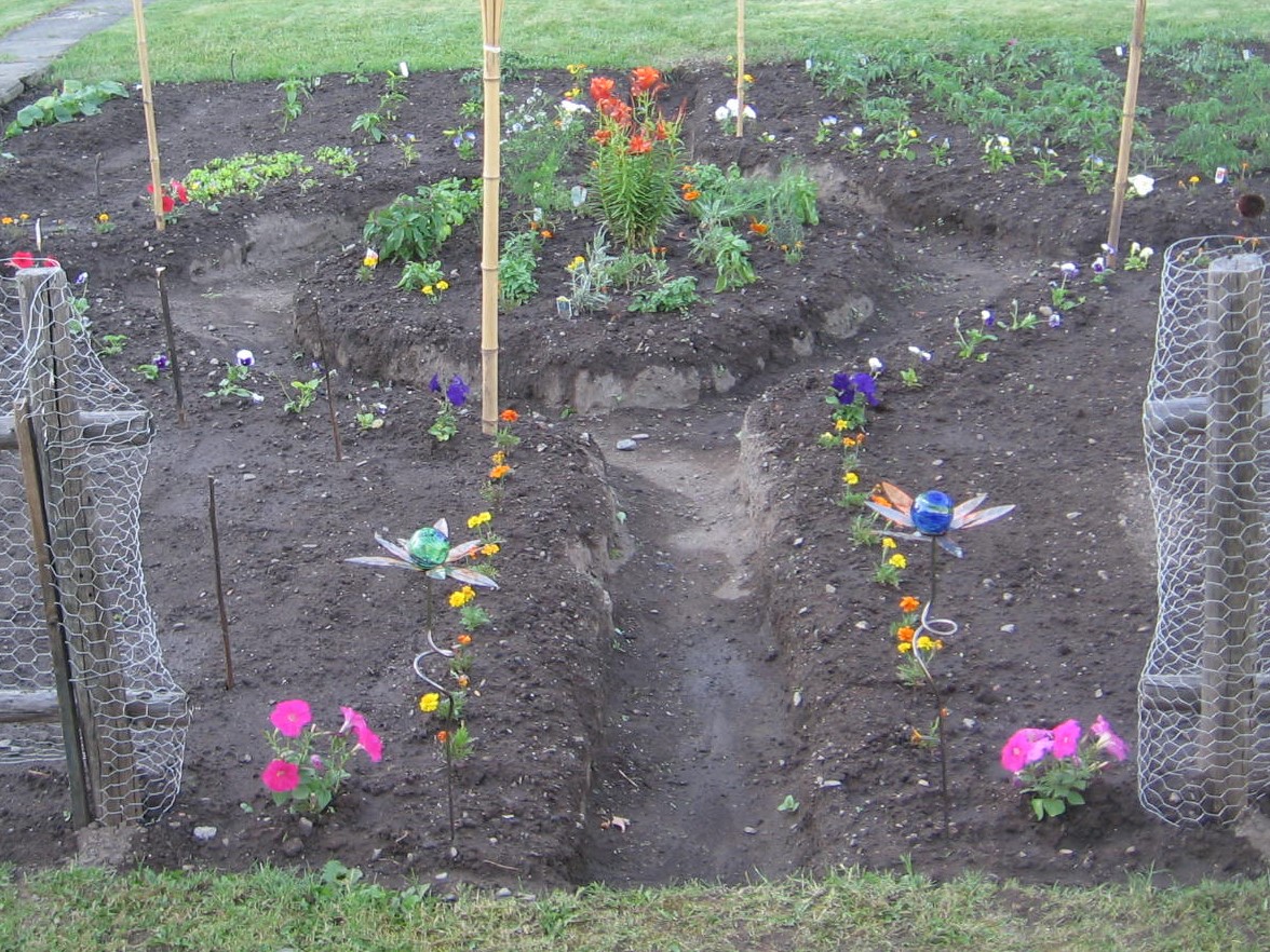 A garden with many flowers and plants in it