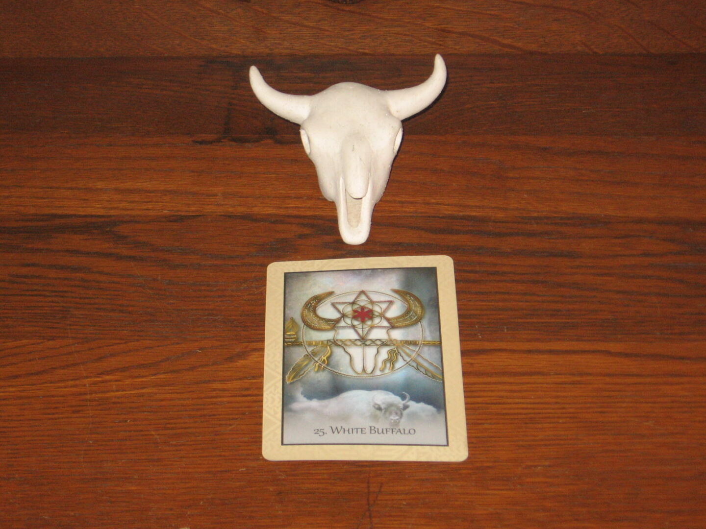 A bull 's head and tarot card on a table.
