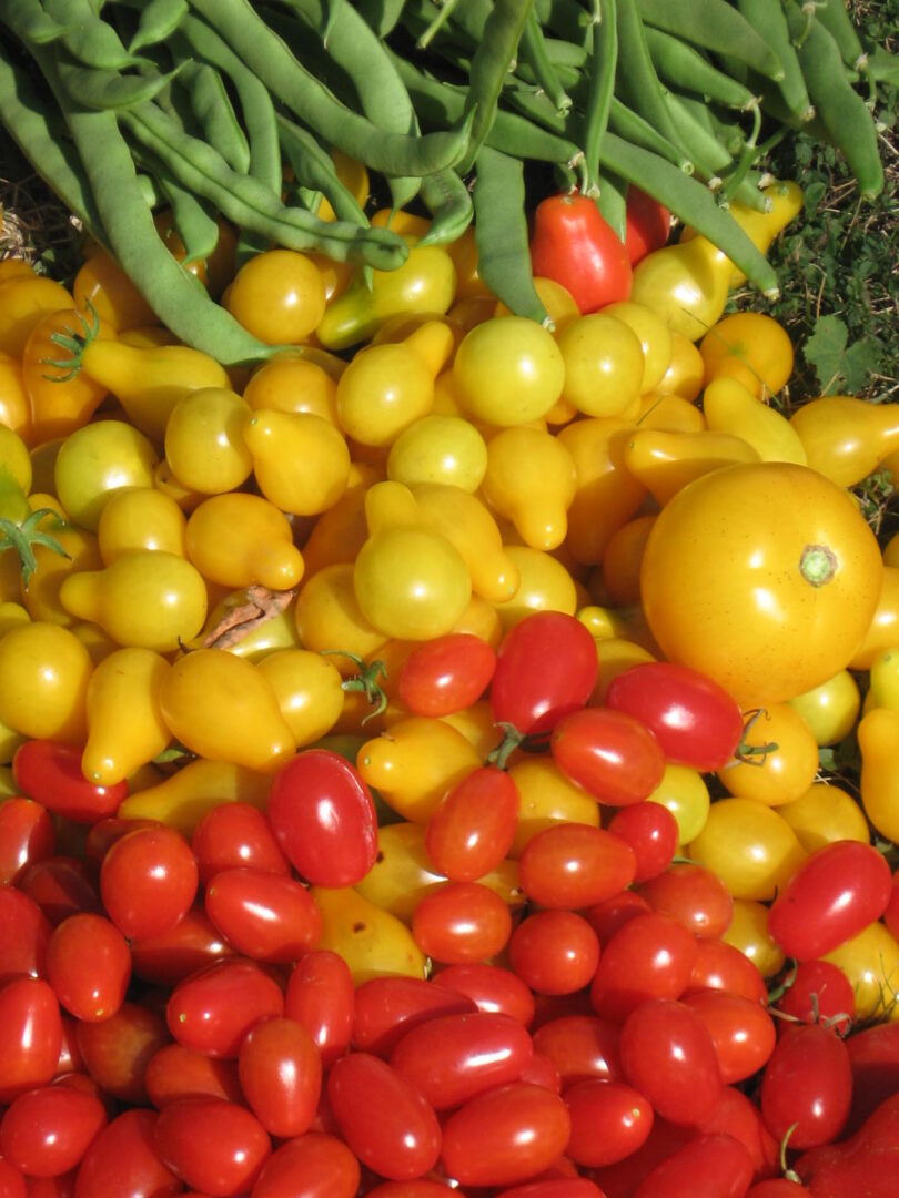 A pile of tomatoes and other vegetables on the ground.