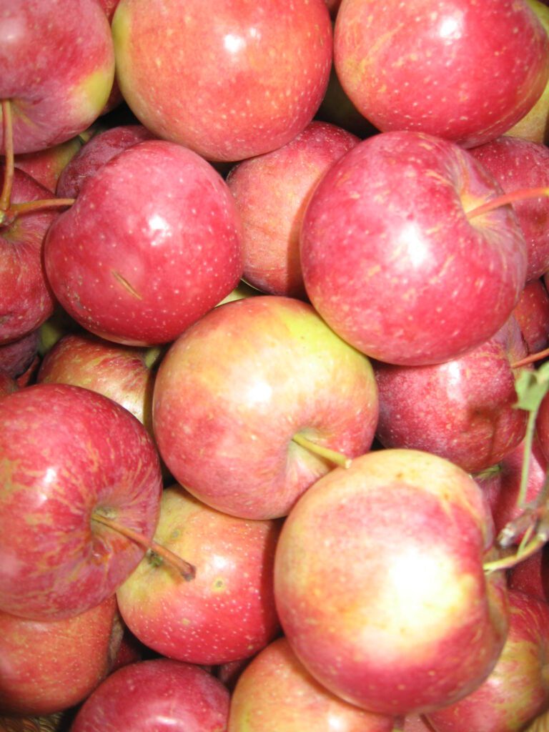 A pile of apples that are red and yellow.