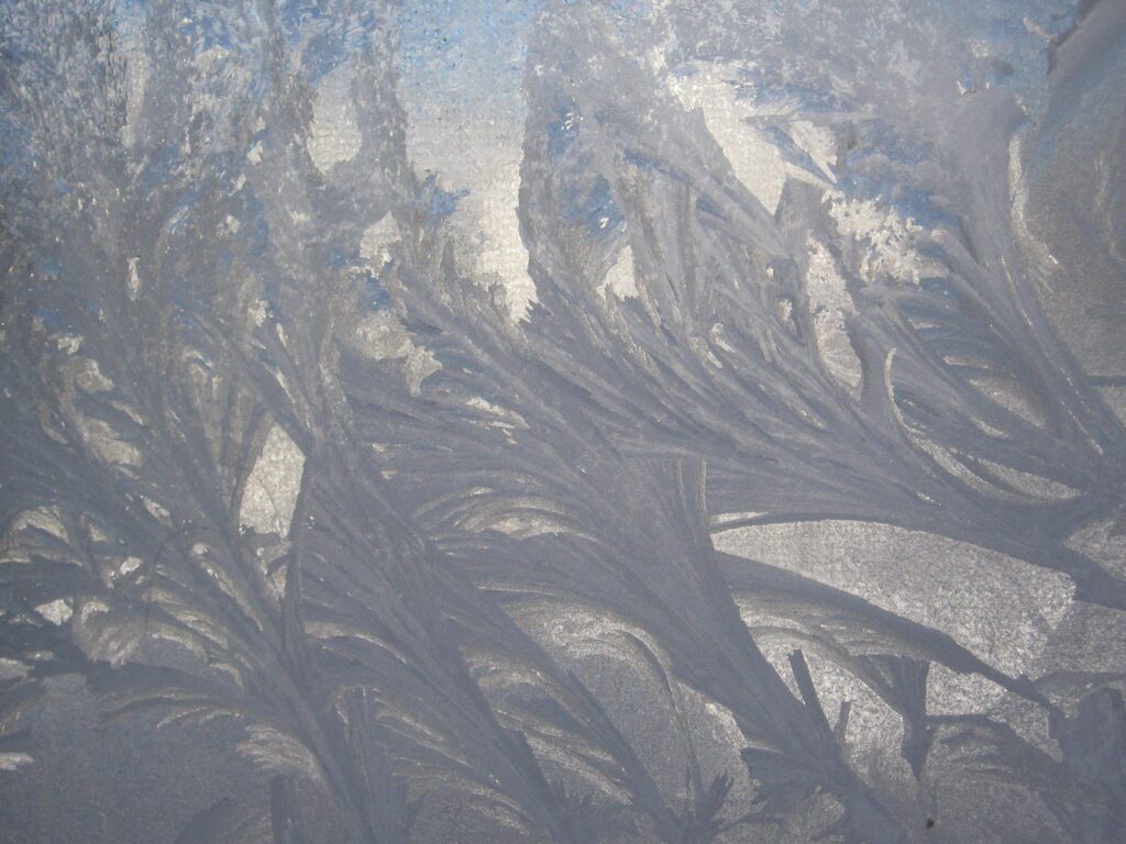 A close up of the window glass with some trees in it