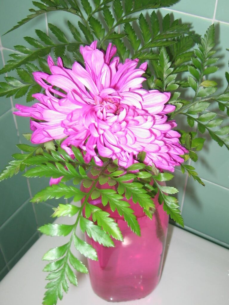 A pink vase with flowers in it on the floor