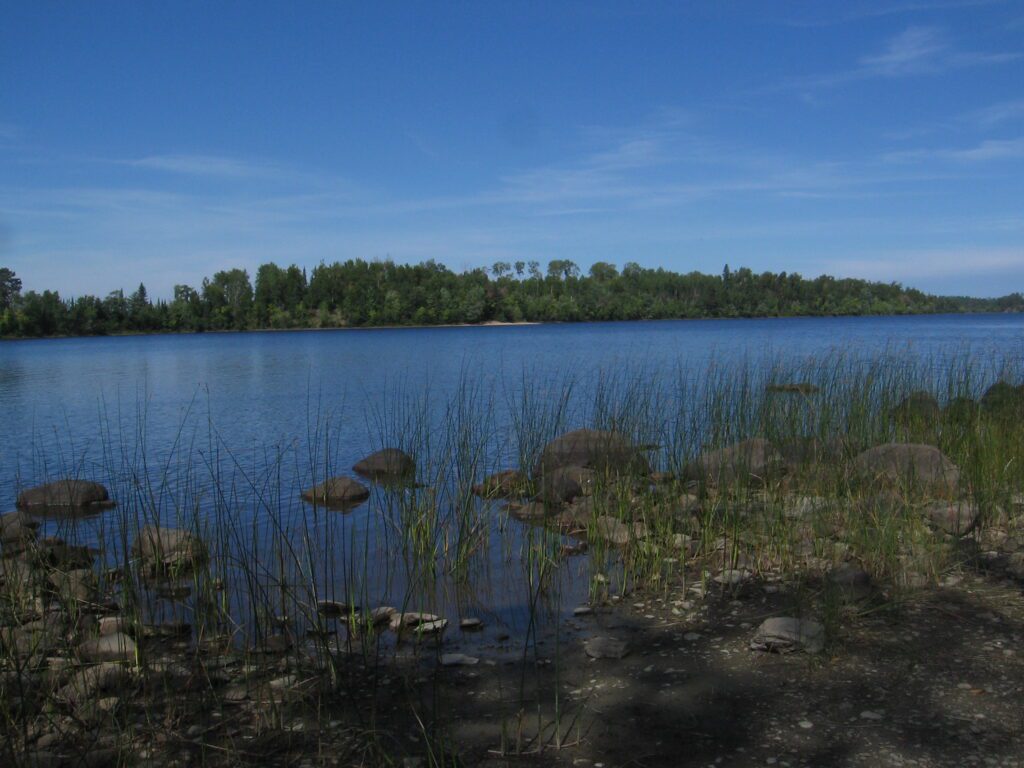 A body of water with trees in the background.