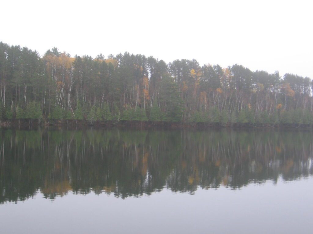 A body of water with trees in the background