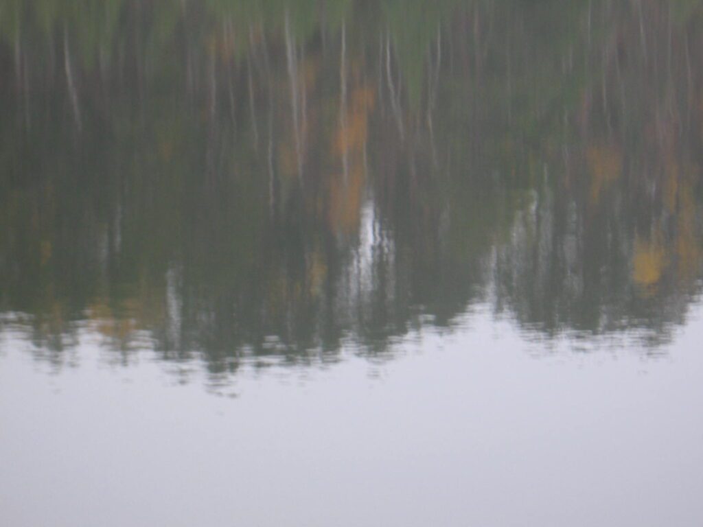 A body of water with trees in the background.