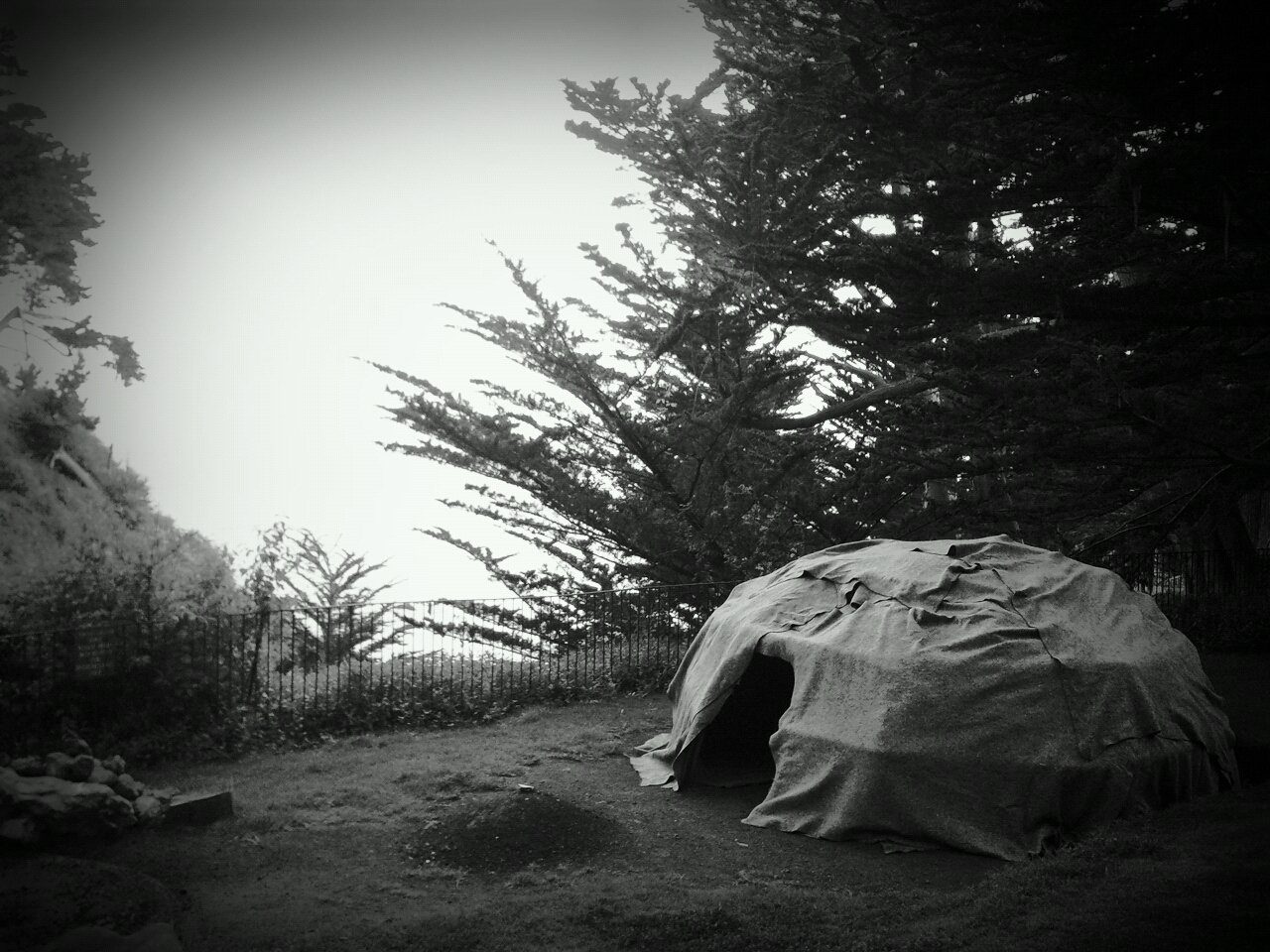 A tent in the middle of nowhere with trees