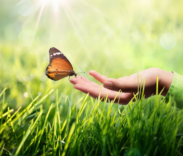 A hand is holding out its arm to catch a butterfly.