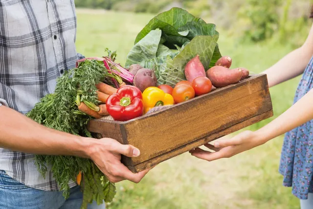 A person holding a box of vegetables in their hands.