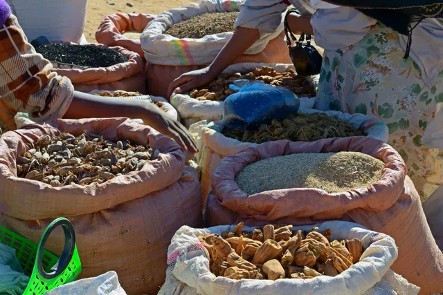 A person standing in front of several bags filled with food.