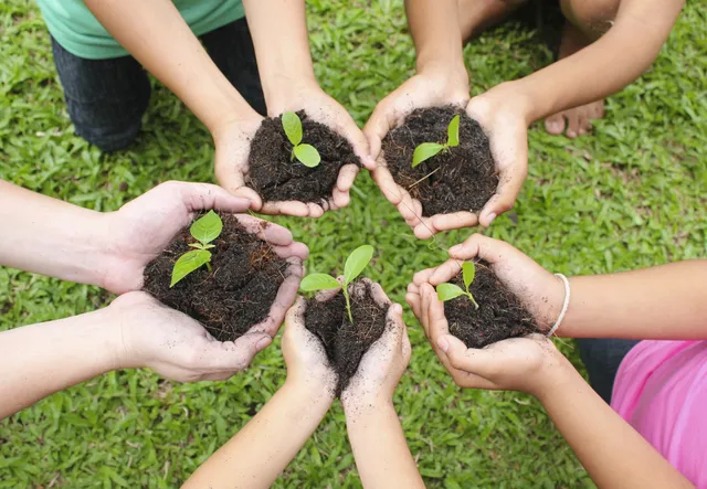 A group of people holding plants in their hands.