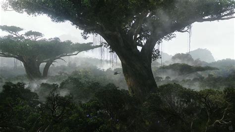 A tree with fog coming from it in the background.