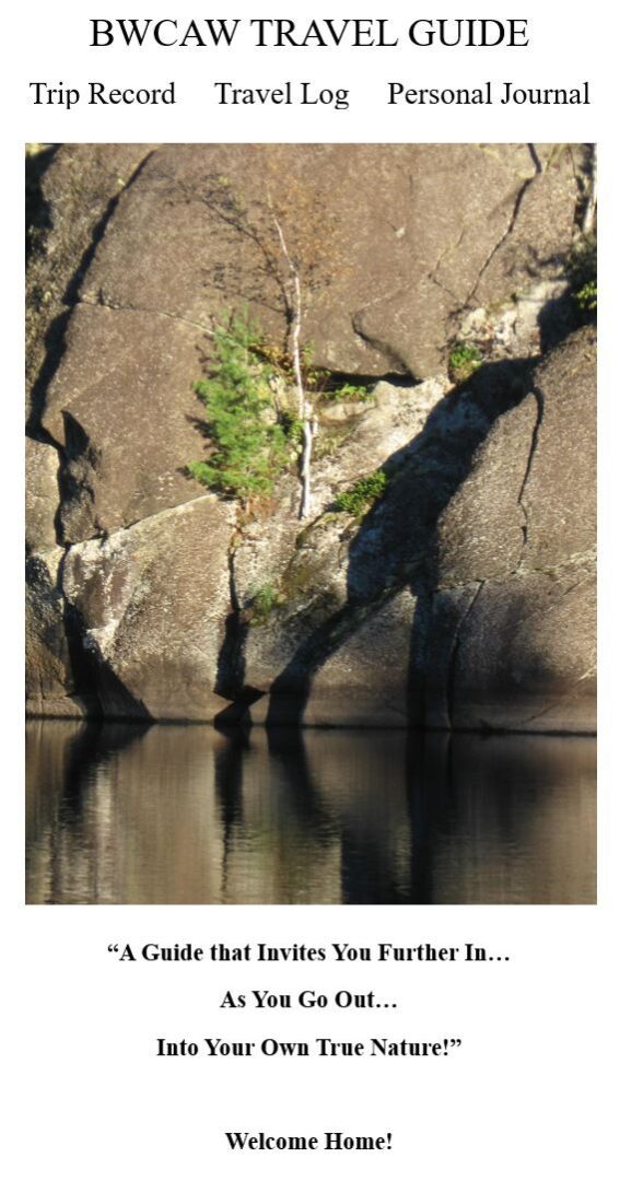 A tree is hanging over the water in front of some rocks.