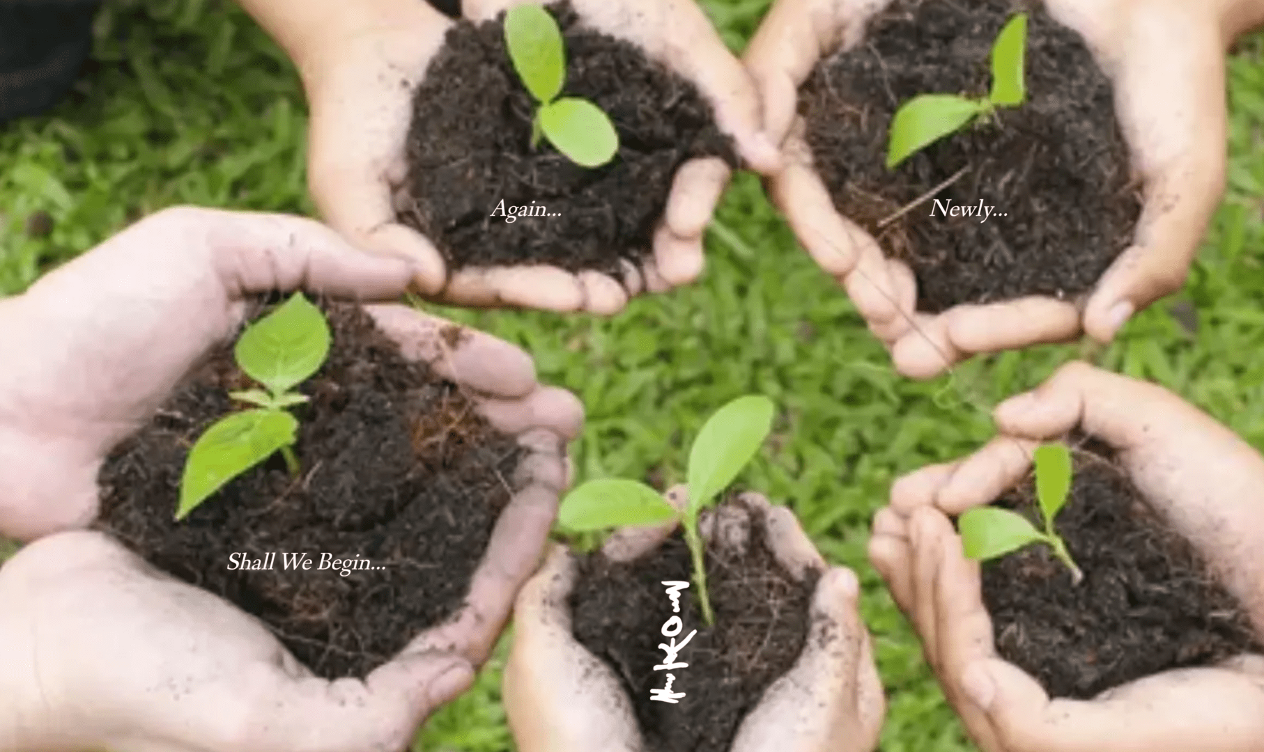 Soil Plantings Soil Plantings
