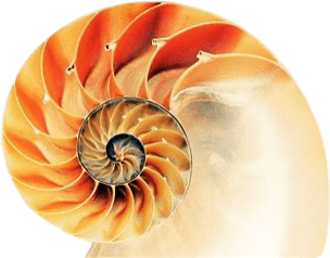 Sacred Geometry Final fixed Sacred Geometry Final fixed
