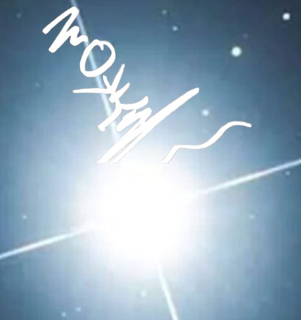 Curriculum avatar white